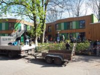Kita Baumhaus Umgestaltung Garten