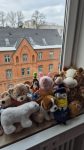 Kuscheltiere aller Art auf einem Fensterbrett