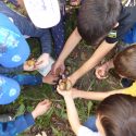 "Kinder-Gärten" in Bergedorf-West 2019