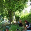 Die „Kinder-Gärten“ in Bergedorf-West bis einschließlich 2018 Die "Kinder-Gärten" in Bergedorf-West bis einschließlich 2018
