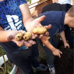 Die „Kinder-Gärten“ in Bergedorf-West: die F.aktiv-Kinderkochgruppe Die "Kinder-Gärten" in Bergedorf-West: die F.aktiv-Kinderkochgruppe