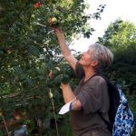 Die „Kinder-Gärten“ in Bergedorf-West Die "Kinder-Gärten" in Bergedorf-West