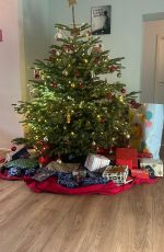 Ein Weihnachtsbaum mit Geschenken drunter und drumrum.