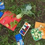 Die „Kinder-Gärten“ in Bergedorf-West: Gemüse für Auge und Mund Die "Kinder-Gärten" in Bergedorf-West: Gemüse für Auge und Mund