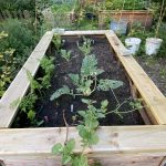 Die „Kinder-Gärten“ in Bergedorf-West Die "Kinder-Gärten" in Bergedorf-West