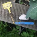 Die „Kinder-Gärten“ in Bergedorf-West bis einschließlich 2018 Die "Kinder-Gärten" in Bergedorf-West bis einschließlich 2018