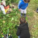 Die „Kinder-Gärten“ in Bergedorf-West bis einschließlich 2018 Die "Kinder-Gärten" in Bergedorf-West bis einschließlich 2018