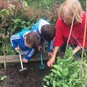 Die „Kinder-Gärten“ in Bergedorf-West bis einschließlich 2018 Die "Kinder-Gärten" in Bergedorf-West bis einschließlich 2018