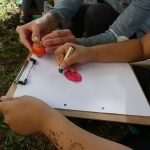 Die „Kinder-Gärten“ in Bergedorf-West: gezeichnete Tomate Die "Kinder-Gärten" in Bergedorf-West: gezeichnete Tomate