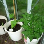 2020 werden die ‚Kinder-Gärten‘ von Radio Hamburg Hörer helfen Kindern unterstützt 2020 werden die 'Kinder-Gärten' von Radio Hamburg Hörer helfen Kindern unterstützt